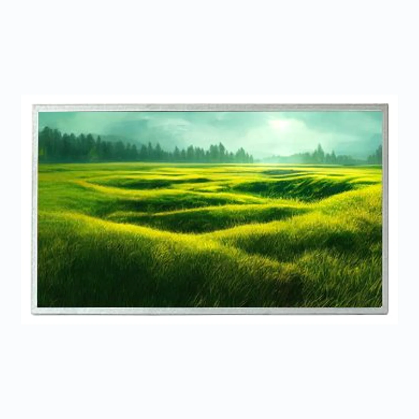 18.5 inch 1500 nits high brightness FHD LCD panel