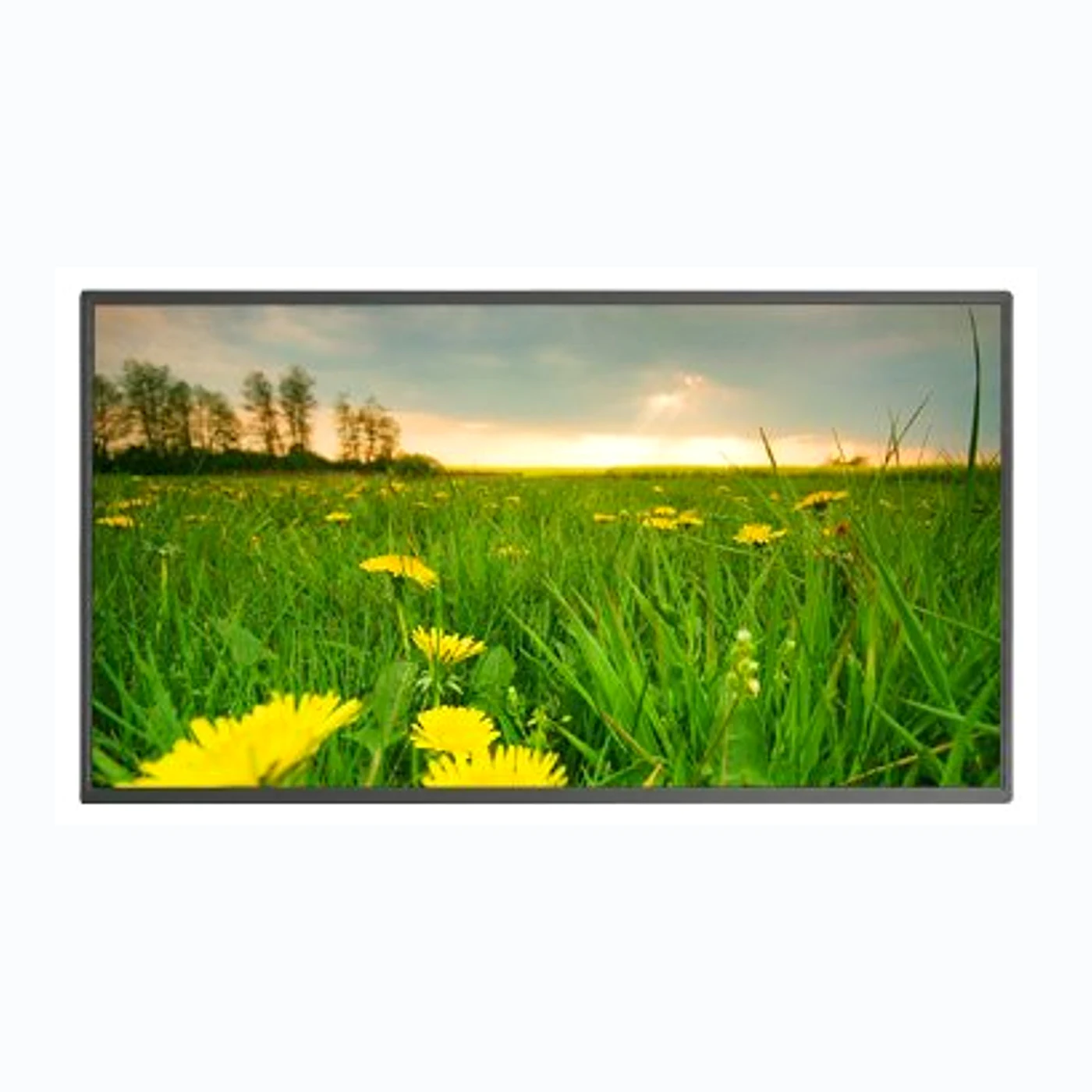 21.5 inch high brightness TFT LCD panel
